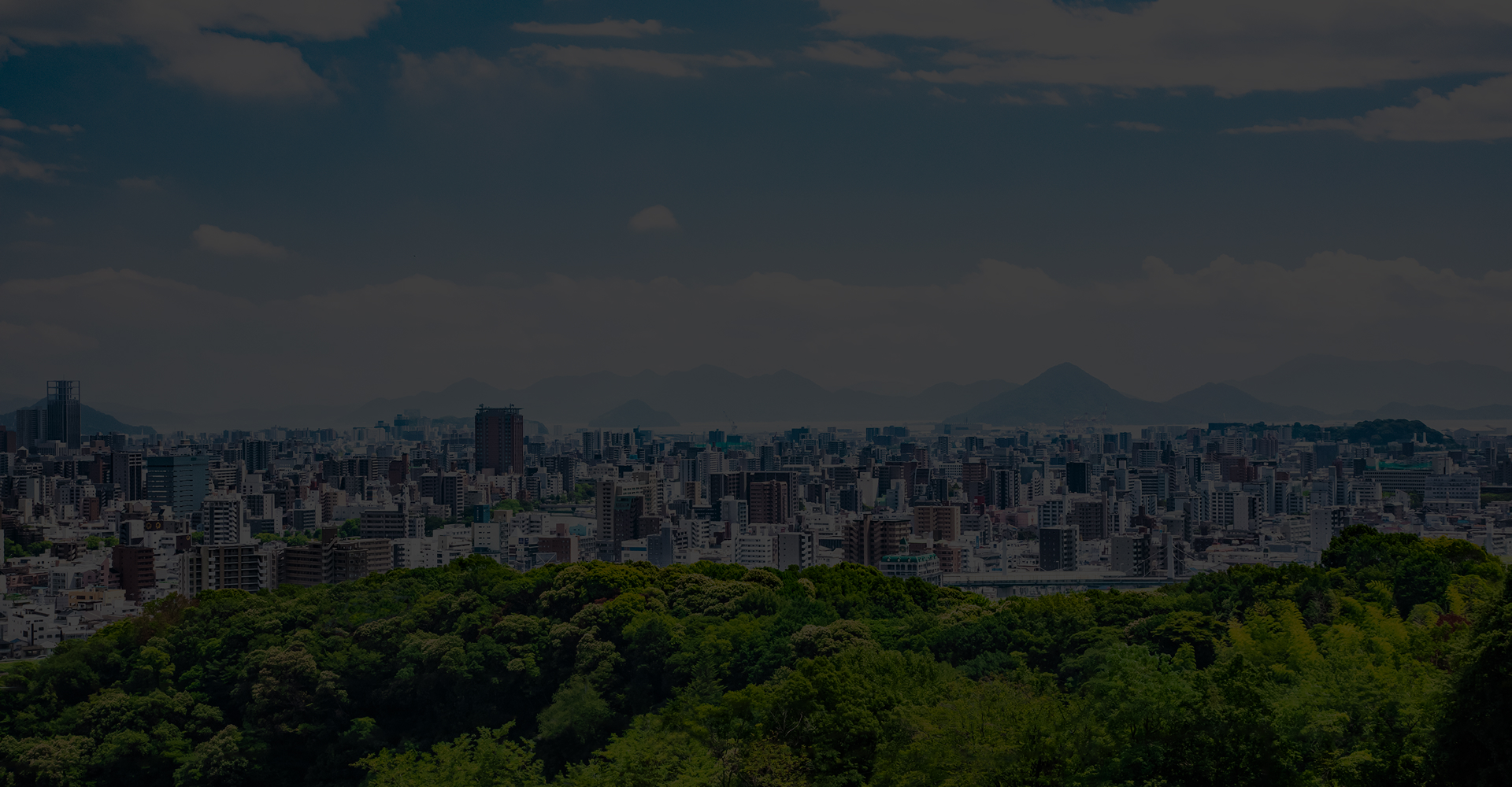 忙しい経営者の代わりに、あなたのWeb担当になります。